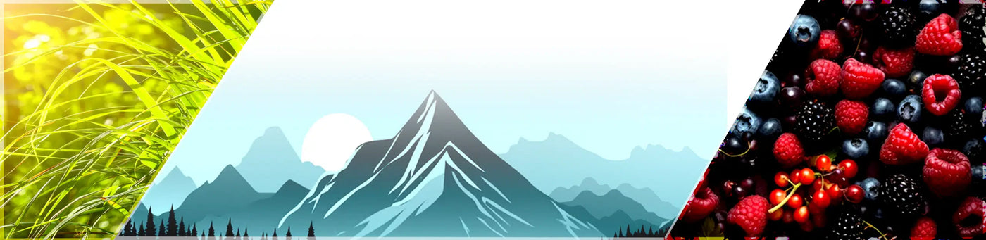 Alpine Mist